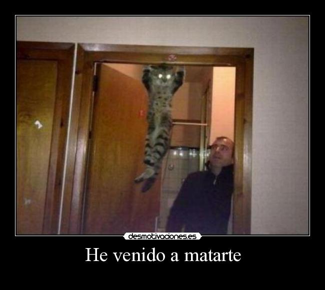He venido a matarte - 