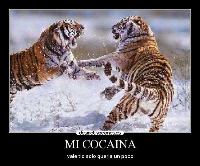 MI COCAINA - vale tio solo queria un poco