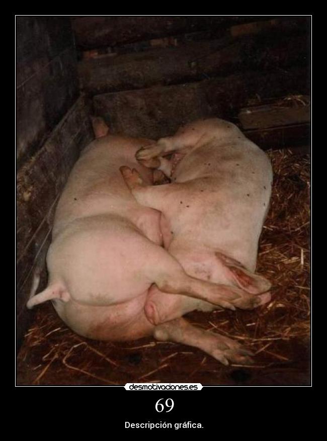 69 - Descripción gráfica.
