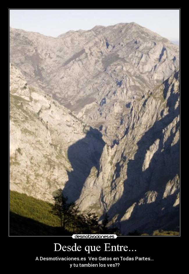 Desde que Entre... - A Desmotivaciones.es Veo Gatos en Todas Partes...
y tu tambien los ves??