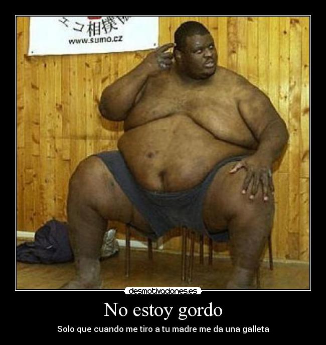 No estoy gordo - 