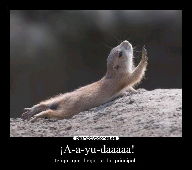 ¡A-a-yu-daaaaa! - 
