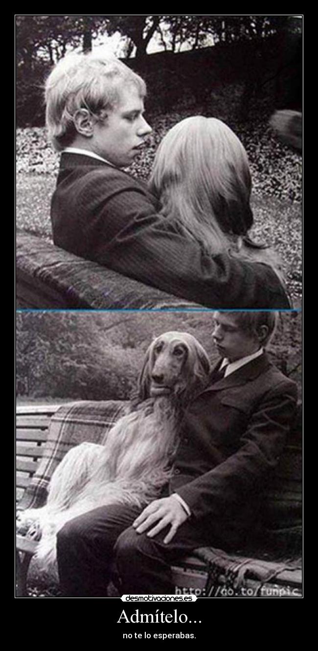 Admítelo... -