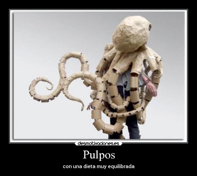 Pulpos - con una dieta muy equilibrada