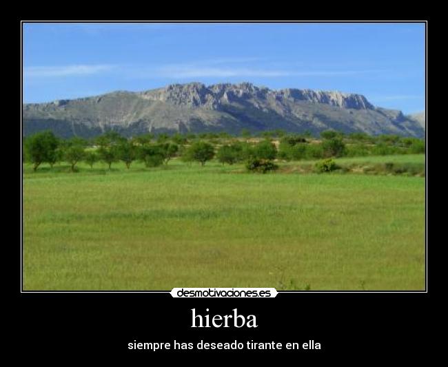 hierba - 