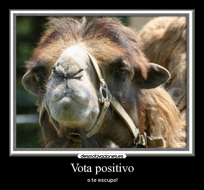 Vota positivo -