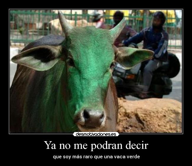 Ya no me podran decir - que soy más raro que una vaca verde
