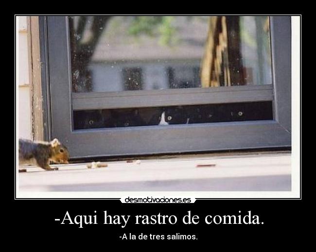 -Aqui hay rastro de comida. -