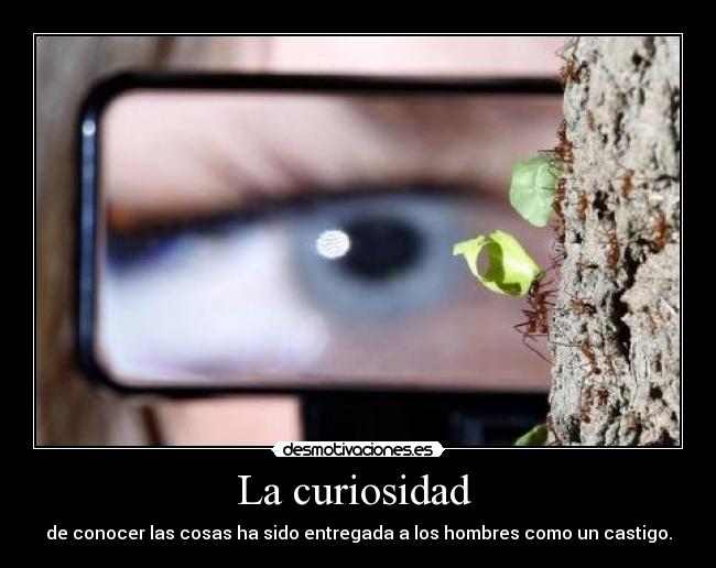 La curiosidad -