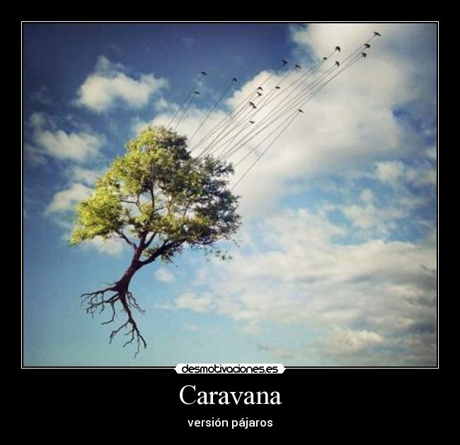 Caravana - versión pájaros