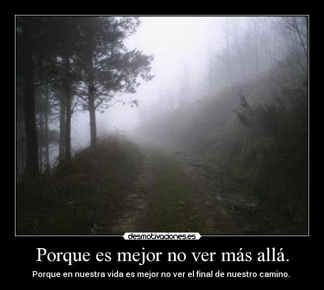 Porque es mejor no ver más allá. - 