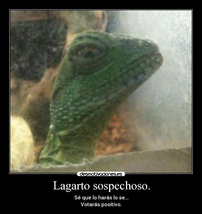Lagarto sospechoso. - 