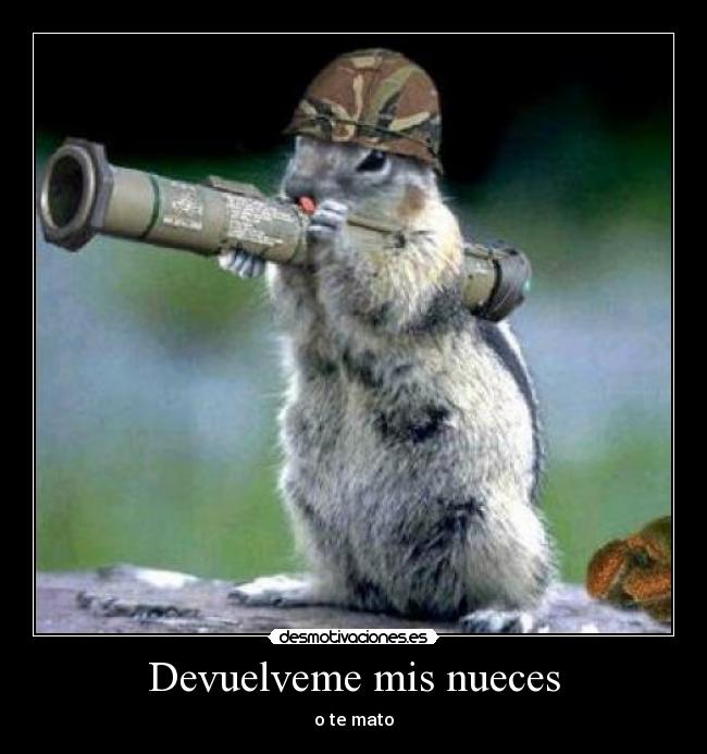 Devuelveme mis nueces -