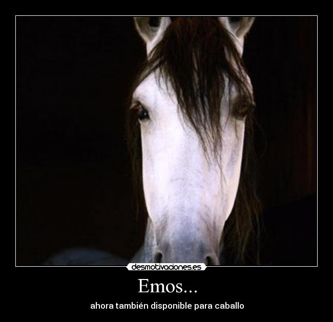 Emos... - ahora también disponible para caballo