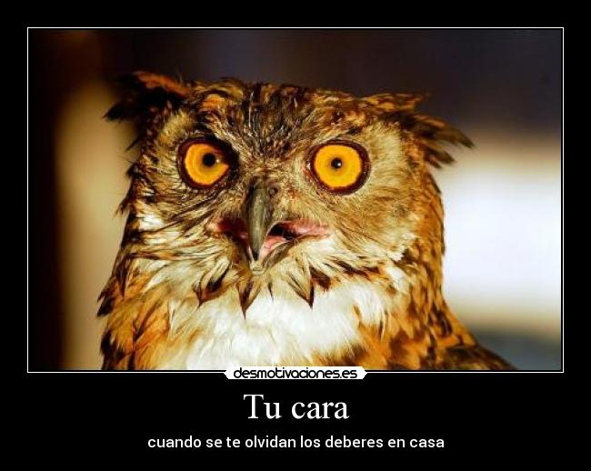 Tu cara - cuando se te olvidan los deberes en casa