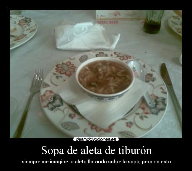 Sopa de aleta de tiburón - 