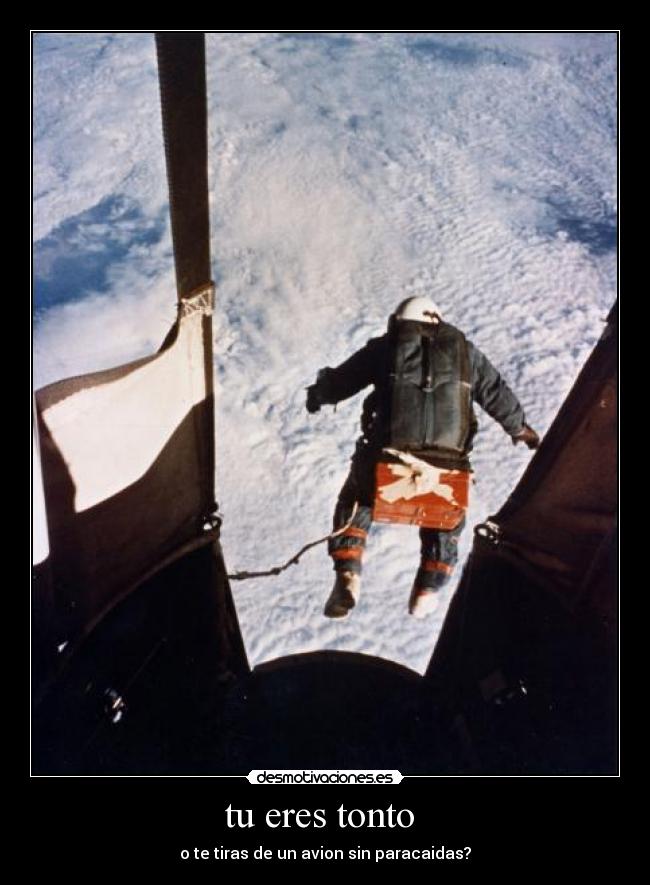 tu eres tonto -