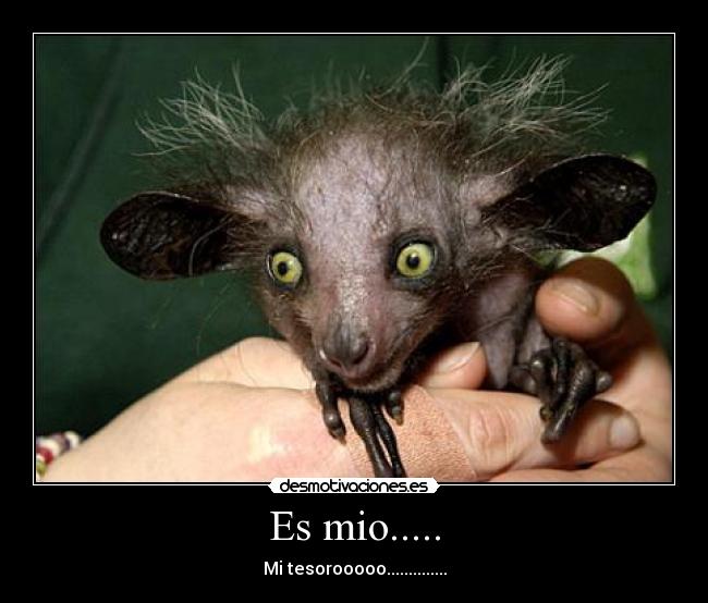 carteles tesoro desmotivaciones