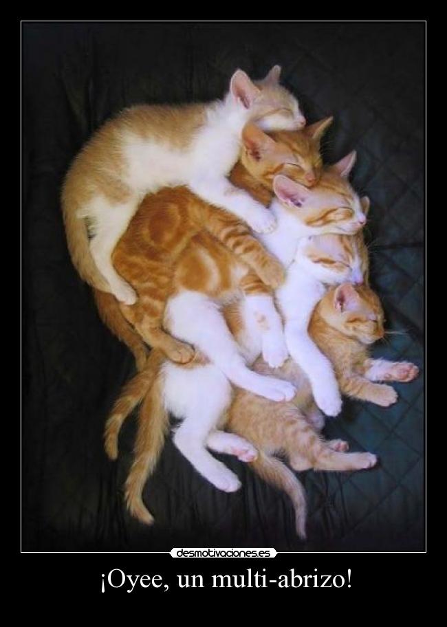 ¡Oyee, un multi-abrizo! - 