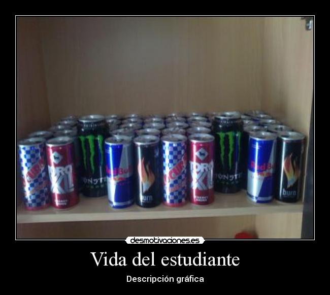 Vida del estudiante - Descripción gráfica