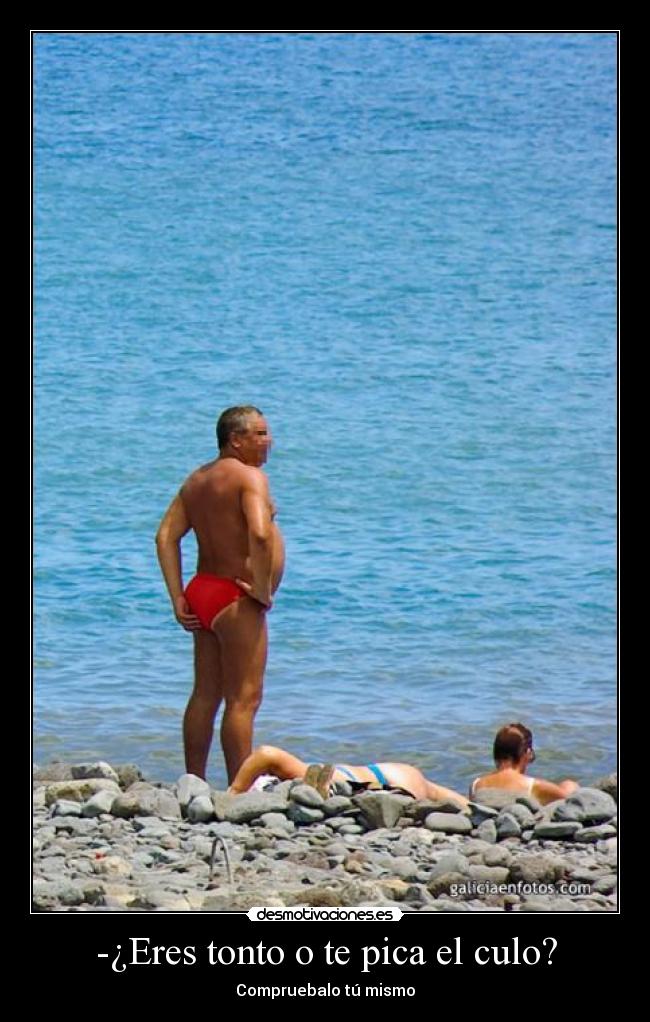 -¿Eres tonto o te pica el culo? - Compruebalo tú mismo