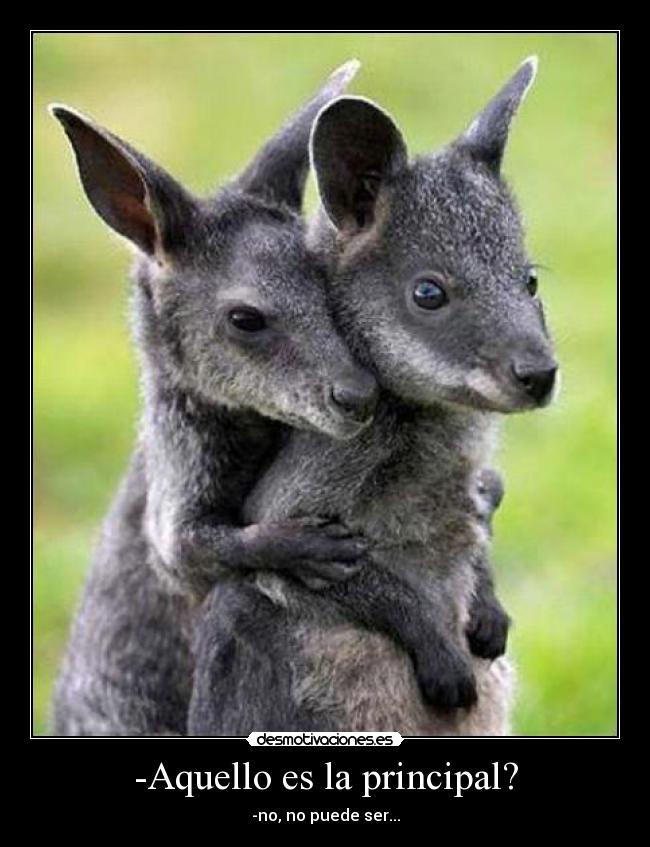 -Aquello es la principal? - -no, no puede ser...