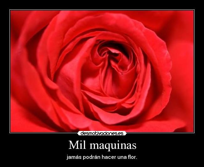 Mil maquinas - 