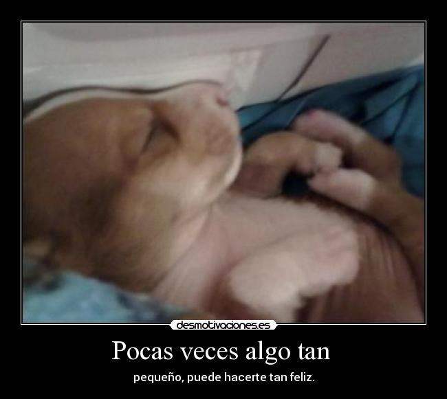 Pocas veces algo tan -