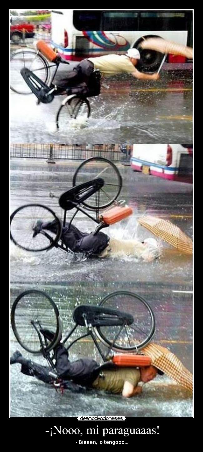 -¡Nooo, mi paraguaaas! -