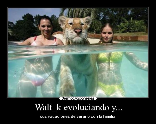 Walt_k evoluciando y... -