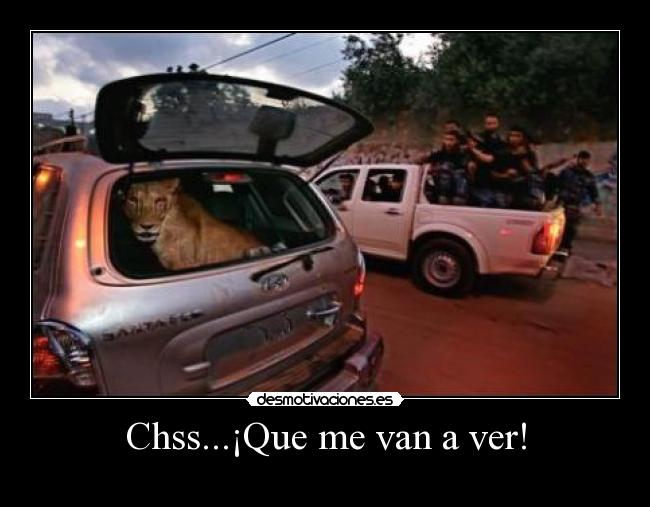 Chss...¡Que me van a ver! - 