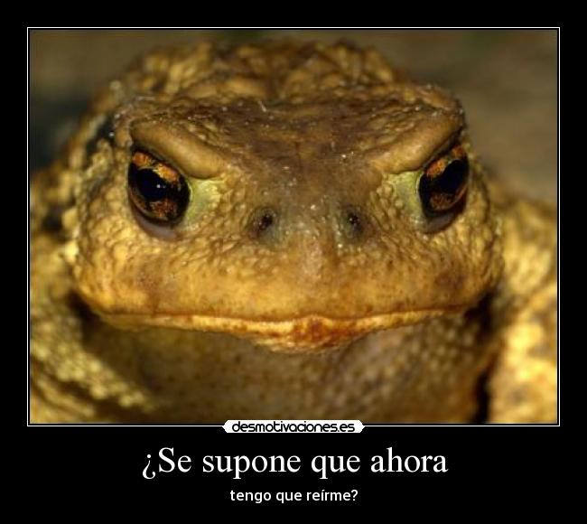 ¿Se supone que ahora -