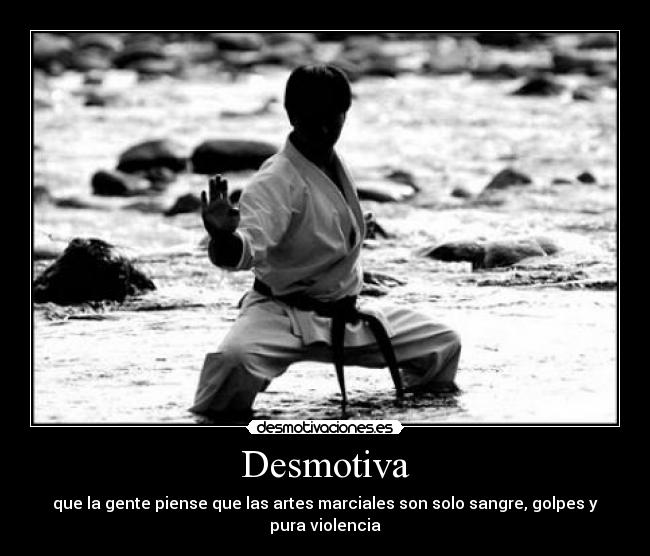 carteles artes marciales desmotiva desmotivaciones