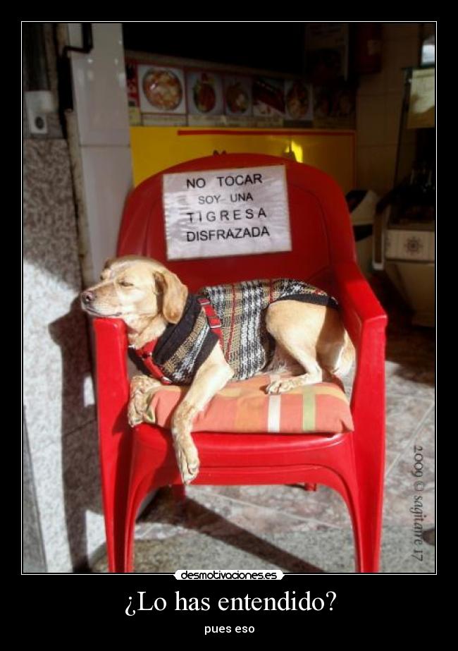 ¿Lo has entendido? -