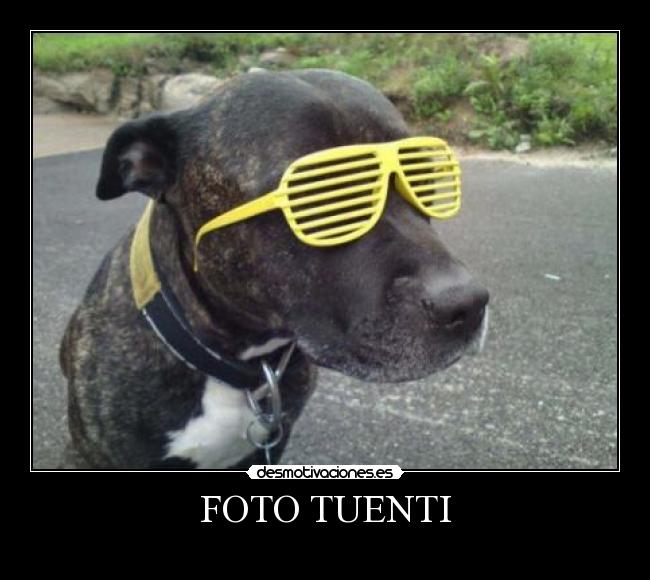 FOTO TUENTI - 