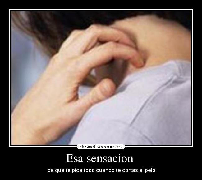 Esa sensacion - de que te pica todo cuando te cortas el pelo