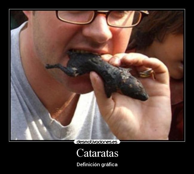 Cataratas - Definición gráfica