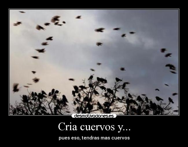 Cria cuervos y... - pues eso, tendras mas cuervos