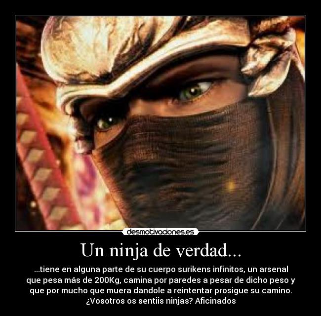 Un ninja de verdad... - ...tiene en alguna parte de su cuerpo surikens infinitos, un arsenal
que pesa más de 200Kg, camina por paredes a pesar de dicho peso y
que por mucho que muera dandole a reintentar prosigue su camino.
¿Vosotros os sentiis ninjas? Aficinados