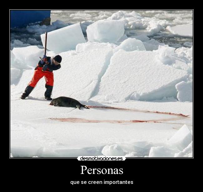 Personas -