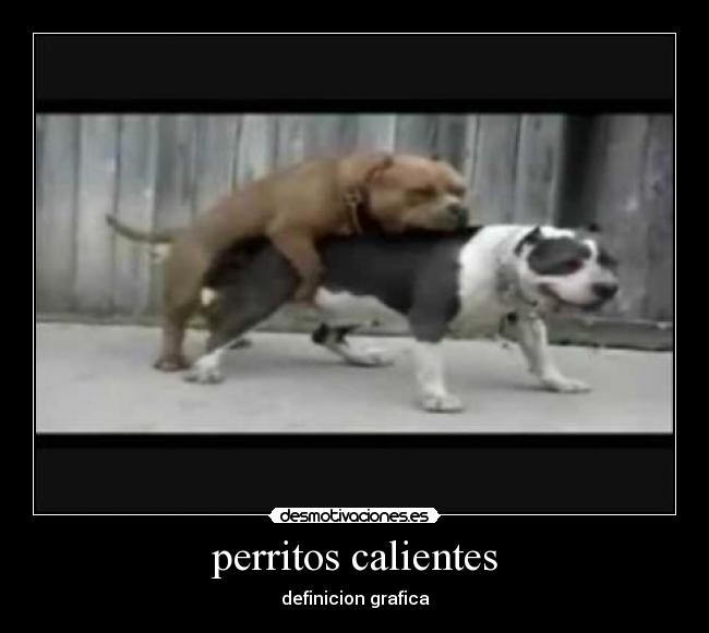 carteles perritoos desmotivaciones