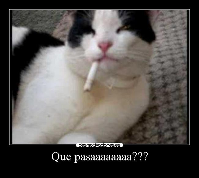 Que pasaaaaaaaa??? - 