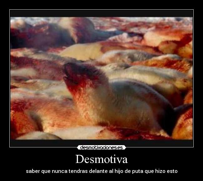 Desmotiva - saber que nunca tendras delante al hijo de puta que hizo esto