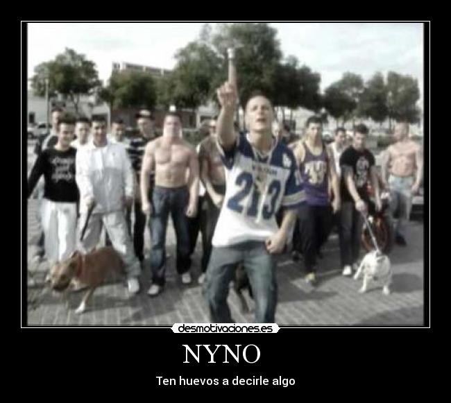 NYNO  - 