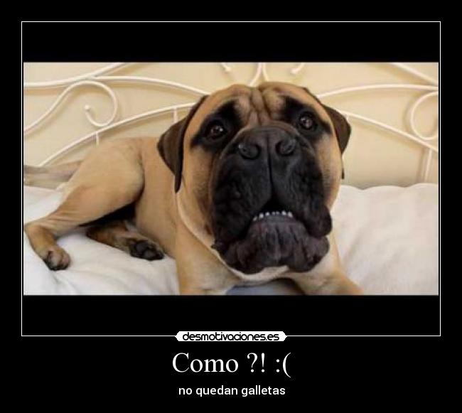 Como ?! :( - 
