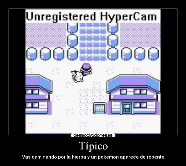 Típico - Vas caminando por la hierba y un pokemon aparece de repente