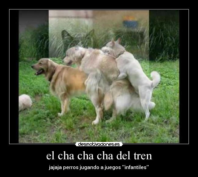 el cha cha cha del tren -