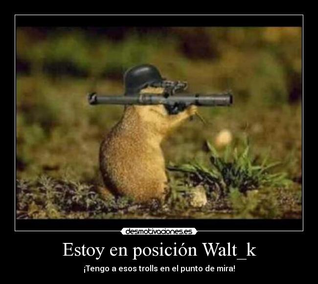 Estoy en posición Walt_k - 