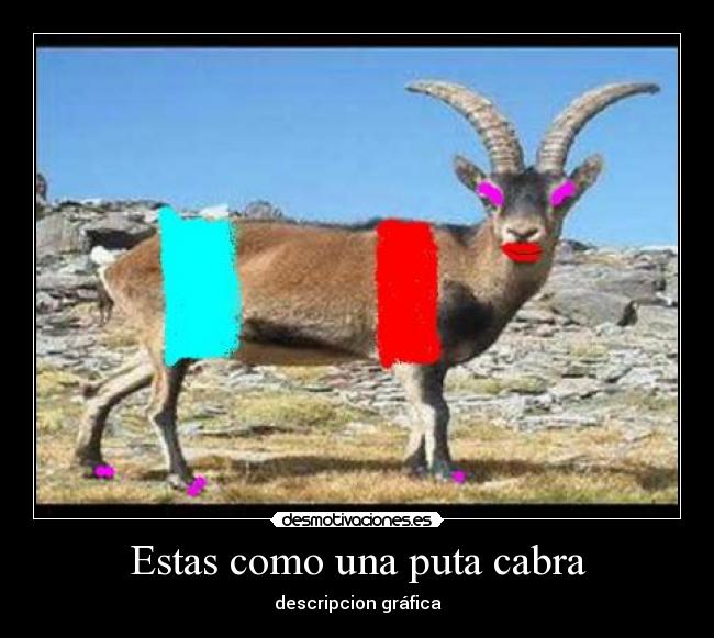 Estas como una puta cabra - descripcion gráfica
