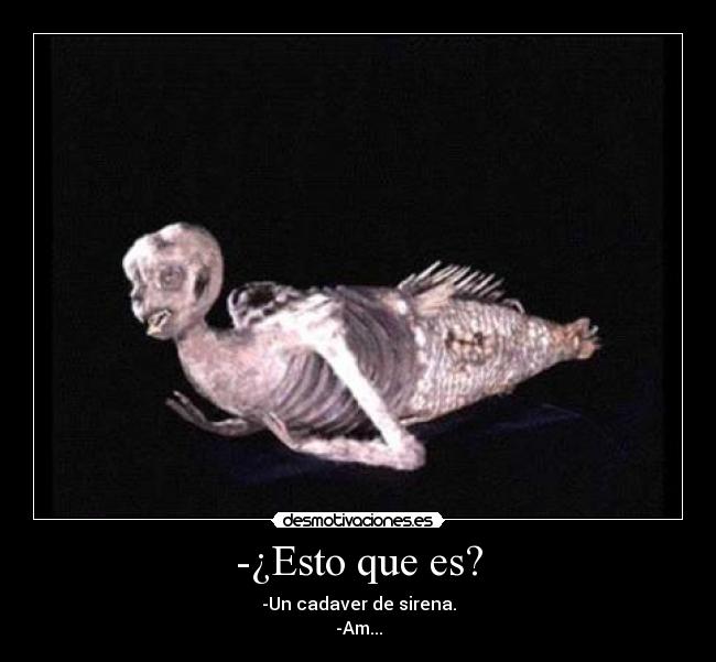 -¿Esto que es? - -Un cadaver de sirena.
-Am...
